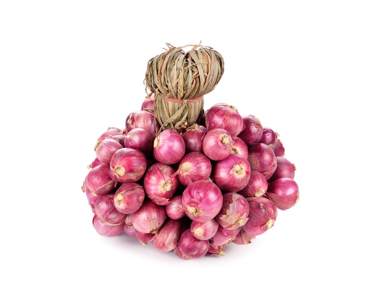 Organically Grown Spring Onions
